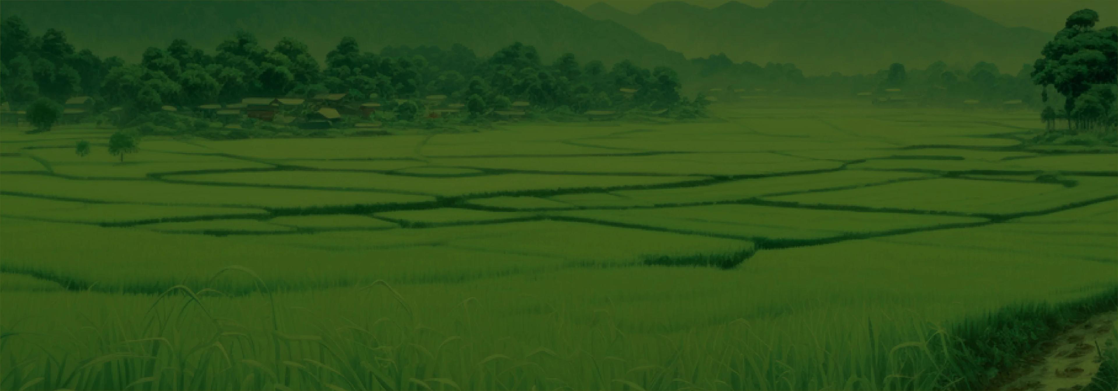 Curators ofThai craftsmanship and social impact